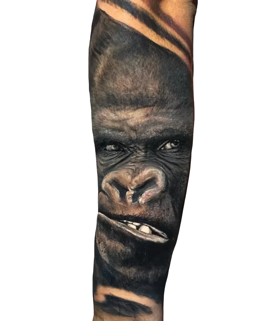 Black and grey realism gorilla portrait tattoo on the forearm by Duk Tattoo, Boca Raton, Florida