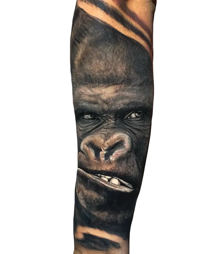 Black and grey realism gorilla portrait tattoo on the forearm by Duk Tattoo, Boca Raton, Florida